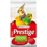 VERSELE-LAGA Grit Shell Sand Kristal 5kg – Sleviste.cz