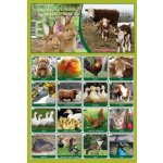 Dino Pexeso: zvířátka – Zboží Dáma