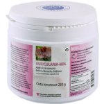 MRL Auricularia Boltcovitka ucho Jidášovo prášek 250 g – Hledejceny.cz