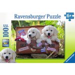 Ravensburger Oddych štěňata v kufru 100 dílků – Zboží Dáma