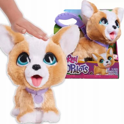 Hasbro furReal Walk-A-Lots interaktivní štěně Corgi – Sleviste.cz