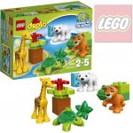 LEGO® DUPLO® 10801 Mláďátka – Zbozi.Blesk.cz