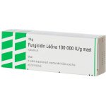 FUNGICIDIN LÉČIVA DRM 100000IU/G UNG 10G – Zboží Mobilmania