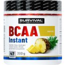 Aminokyselina Survival BCAA Instant 300 g