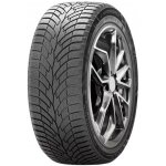Windforce SnowMaster 205/55 R16 91H – Hledejceny.cz