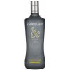 Gin Ampersand London Dry Gin 40% 0,7 l (holá láhev)