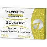 Vemoherb Solidago Zlatobýl obecný 24 kapslí – Hledejceny.cz