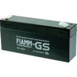 Fiamm FG10301 6V 3Ah – Zboží Mobilmania