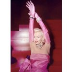 Umělecká fotografie Marilyn Monroe, (30 x 40 cm) – Zbozi.Blesk.cz