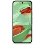 Google Pixel 9 12GB/128GB Wintergreen – Hledejceny.cz