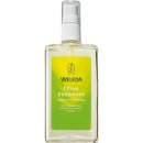 Weleda Citrus deospray 100 ml