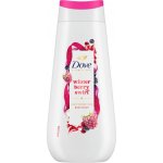 Dove Winter Berry Swirl 225 ml – Zboží Dáma