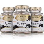 2+1 GN Exclusive Shilajit PrimaVie 50% kyseliny fulvové 300 kapslí – Hledejceny.cz