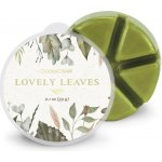 Goose Creek Candle Vonný Vosk Lovely Leaves 59 g – Hledejceny.cz