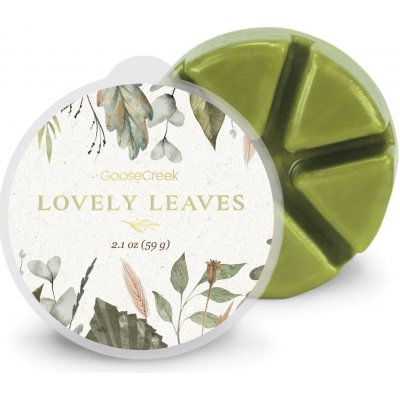 Goose Creek Candle Vonný Vosk Lovely Leaves 59 g – Hledejceny.cz