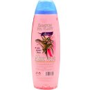 Chopa šampon Aloe vera 500 ml