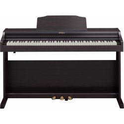 Roland RP501R