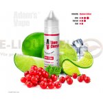 Adams Vape Shake & Vape Lime Currant 10 ml – Zboží Dáma