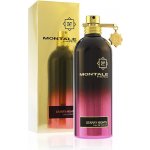 Montale Starry Nights parfémovaná voda unisex 100 ml – Hledejceny.cz