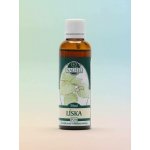 Naděje Líska tinktura z pupenů rostlin 50 ml – Hledejceny.cz