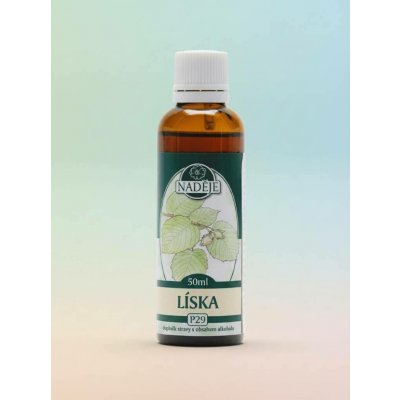 Naděje Líska tinktura z pupenů rostlin 50 ml – Hledejceny.cz
