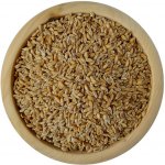 Prazrnko Dvojzrnka z Myjavy BIO na váhu 1 kg – Hledejceny.cz