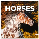 poznámkový Koně Christiane Slawik 30 x 30 cm 2026 – Zboží Mobilmania