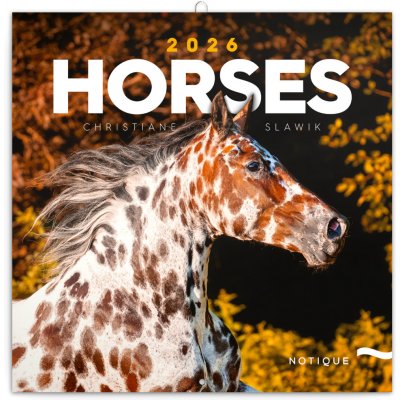 poznámkový Koně Christiane Slawik 30 x 30 cm 2026 – Zboží Mobilmania