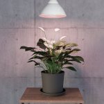 Eglo 110232 – Hledejceny.cz