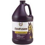 Farnam Equifusion 2in1 shampoo & conditioner 3,78 l – Zboží Mobilmania