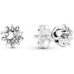 Pandora 290023C01 – Zboží Dáma