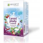 Megafyt Ledový čaj Lesní plody s mátou 20 x 2 g – Zbozi.Blesk.cz