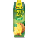 Rauch Happy Day ananas 100% 1 l – Zboží Dáma