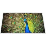 LCD LESK HD LENOVO V470c Y450 – Sleviste.cz