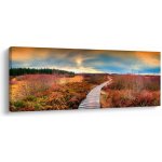 Obraz - Podzimní cesta krajinou, jednodílný 145x58 cm – Hledejceny.cz