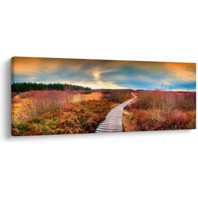 Obraz - Podzimní cesta krajinou, jednodílný 145x58 cm – Hledejceny.cz