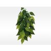 Trixie Ficus plastová rostlina 20x30 cm
