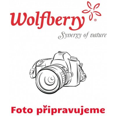 Wolfberry Bio Kakaové boby drcené 1 kg – Zboží Mobilmania