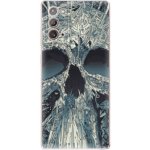 Pouzdro iSaprio - Abstract Skull Samsung Galaxy Note 20 – Hledejceny.cz