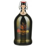 Svijany Svijanský Fanda polot. 11° 4,8% 1 l (sklo) – Sleviste.cz