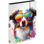 Karton P+P A4 Jumbo Pes 1-39622 – Zboží Dáma