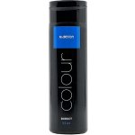 Subrina Direct Colour Blue Gelová barva na vlasy modrá 200 ml – Sleviste.cz