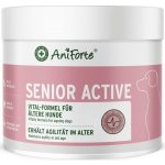 AniForte Senior Active vitalita a agilita pro starší psy 250 g – Hledejceny.cz