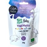 Petra & Friends Ovocné smoothie kousky sušené mrazem s borůvkami a kozím sýrem BIO 10 g – Zboží Dáma