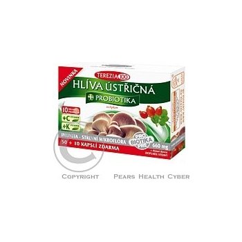 Terezia Company Hlíva ústřičná + laktobacily + vitamin C 60 kapslí