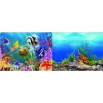 Macenauer fototapeta 5S 60 x 30 cm – Zboží Dáma