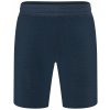 Pánské kraťasy a šortky super.natural pánské merino šortky SOLUTION shorts Blueberry