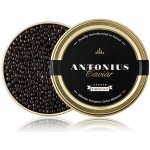 Antonius Caviar Kaviár ze sibiřského jesetera 6 x 50 g – Zboží Dáma