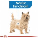 Red Dingo Cosmos postroj – Zboží Mobilmania