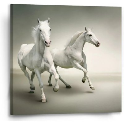 Sablio Obraz Dva bílí koně - 50x50 cm – Hledejceny.cz